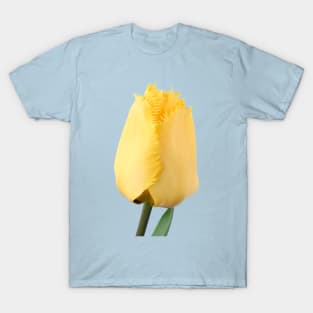 Tulipa  &#39;Crystal Star&#39;  Fringed Tulip T-Shirt